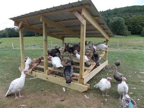 types of shelters for turkeys